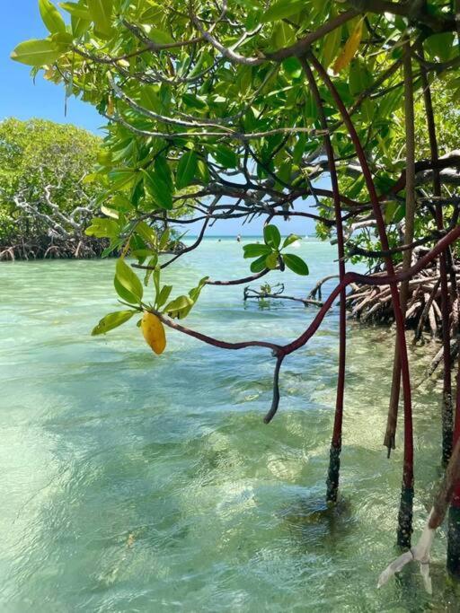 Les Pieds Dans L'Eau Chez Syl Apartment Le Moule Ngoại thất bức ảnh