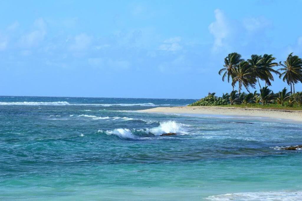 Les Pieds Dans L'Eau Chez Syl Apartment Le Moule Ngoại thất bức ảnh