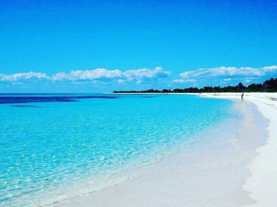 Les Pieds Dans L'Eau Chez Syl Apartment Le Moule Ngoại thất bức ảnh