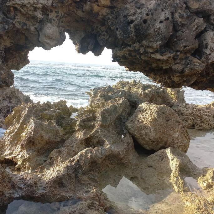Les Pieds Dans L'Eau Chez Syl Apartment Le Moule Ngoại thất bức ảnh