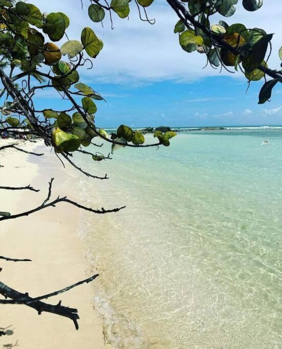 Les Pieds Dans L'Eau Chez Syl Apartment Le Moule Ngoại thất bức ảnh