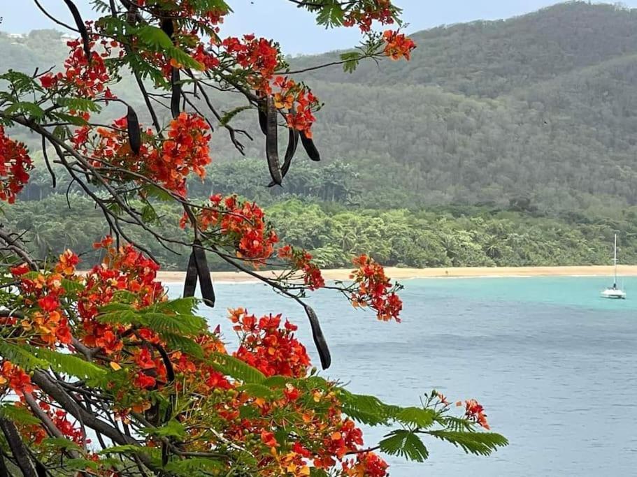Les Pieds Dans L'Eau Chez Syl Apartment Le Moule Ngoại thất bức ảnh